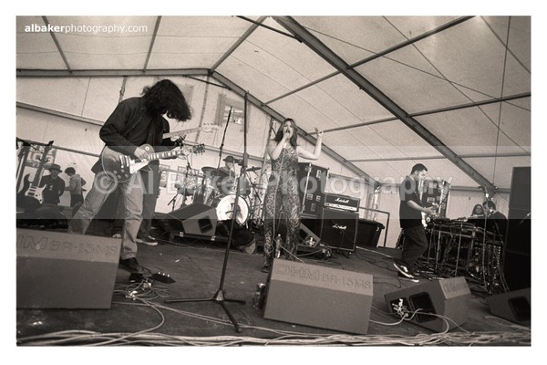 849 - Hulme Gallery (d)