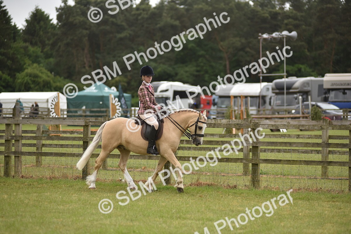 SBM_11991 - Class 110-112 - LIHS BSPS Performance Pones