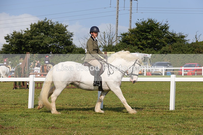 1X9A3242 - Class 28: Ridden Native/Trad Coloured Pony