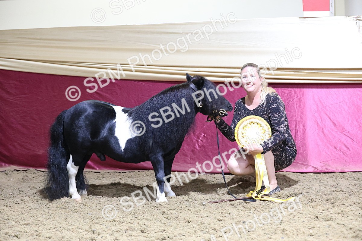 SBM_21625 - Class V - Champion of Champions