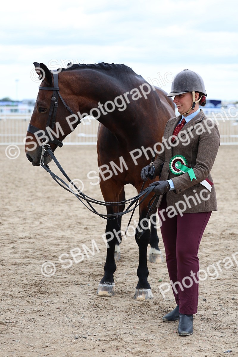 SBM_05797 - Class 28 - IH Veteran Horse