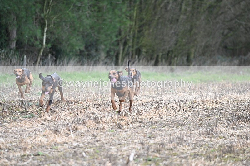 WJ6_9425 - Line Four