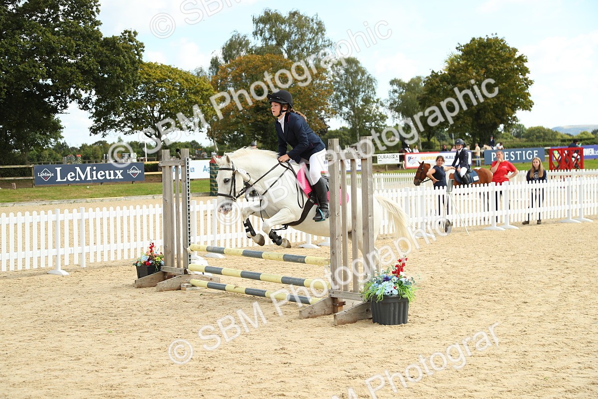 SBM_46428 - J7 - Junior Pony 60cm Championship