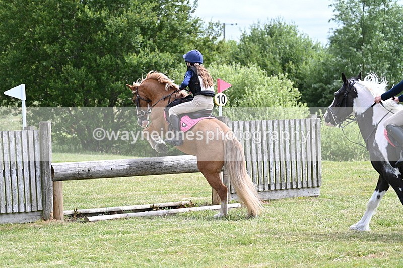 WJ7_5648 - 80cm XC Pairs