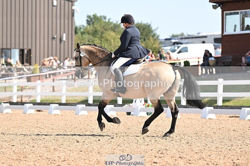 250816-111407-03566 - 082-Sarah.DavisWinston.Classic.Gold