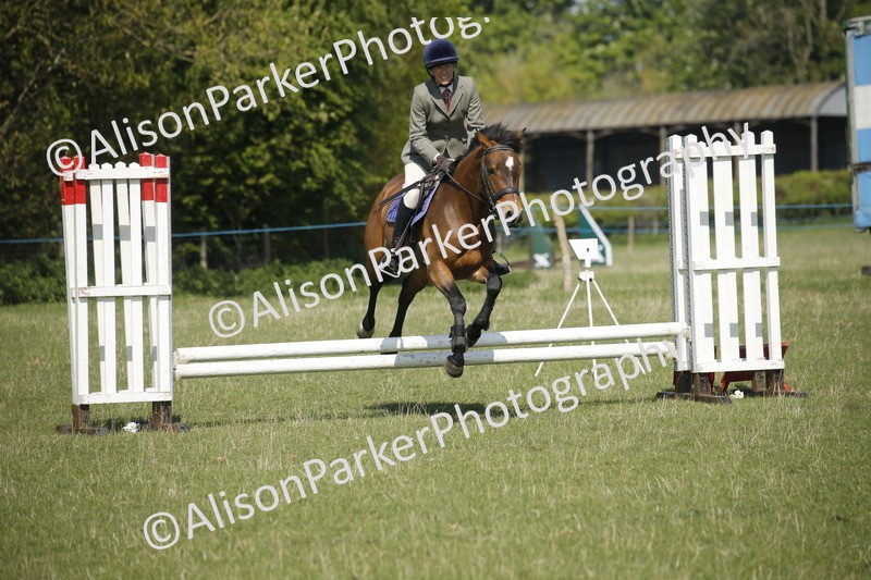 20250427-1978 - Class 13 - Novice Jumping 60cm