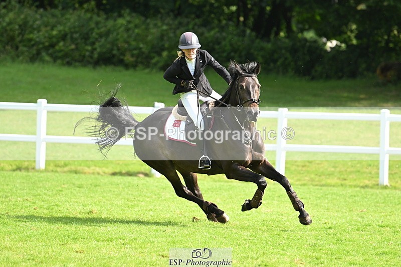 250615A-091548-09403 - Cls 35 Foxhunter