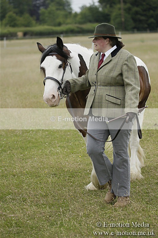 B230619-0752 - Bourne Valley Riding Club Summer Show 23/06/19