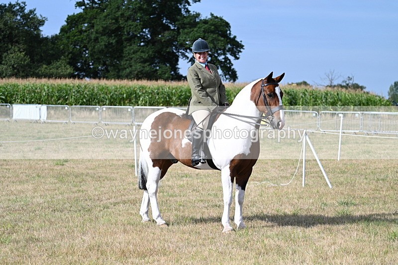 WJ7_2604 - Class 8 Ridden Tack & Turnout