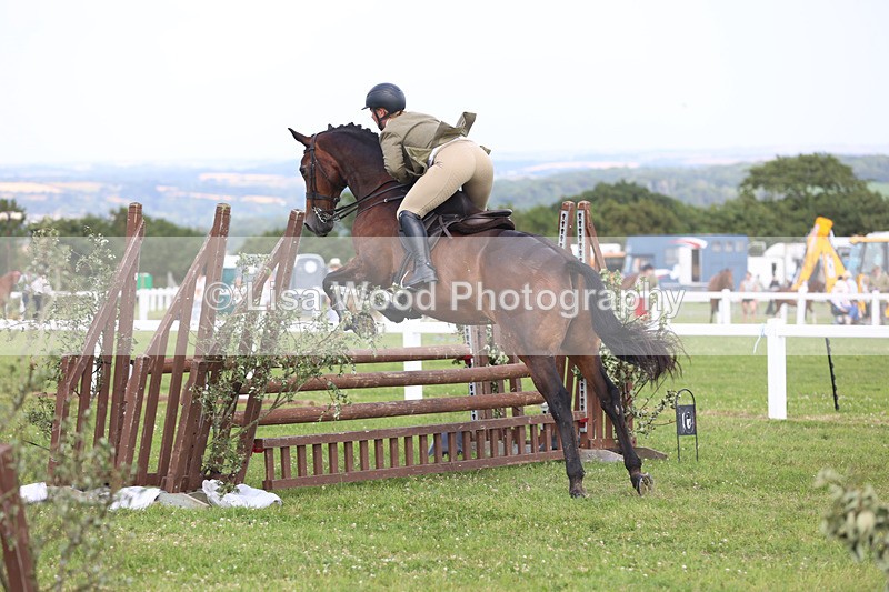 JPP_3791 - Class 23: Working Hunter 80cm