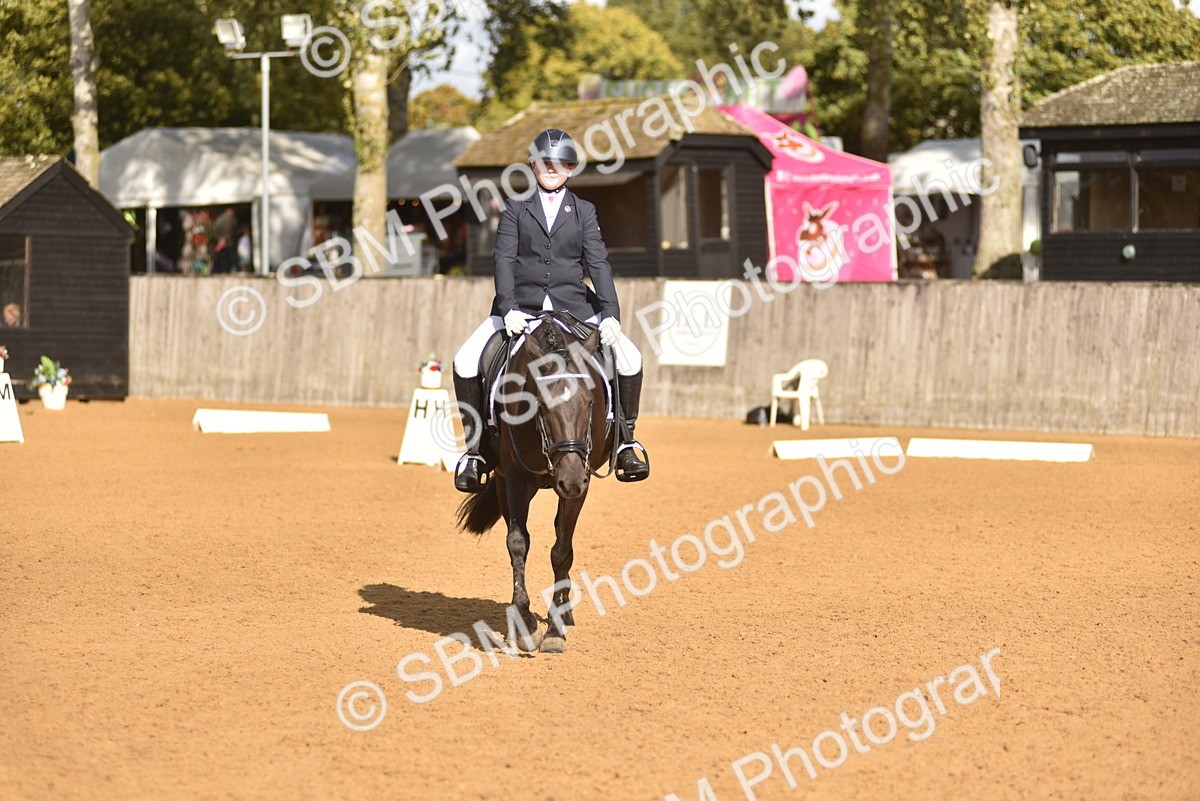 SBM_48900 - D22 - Junior Championship Intro 3
