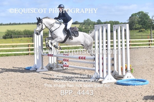 BPP_4443 - CLASS 2  Club/ Unaffiliated 80cms Open