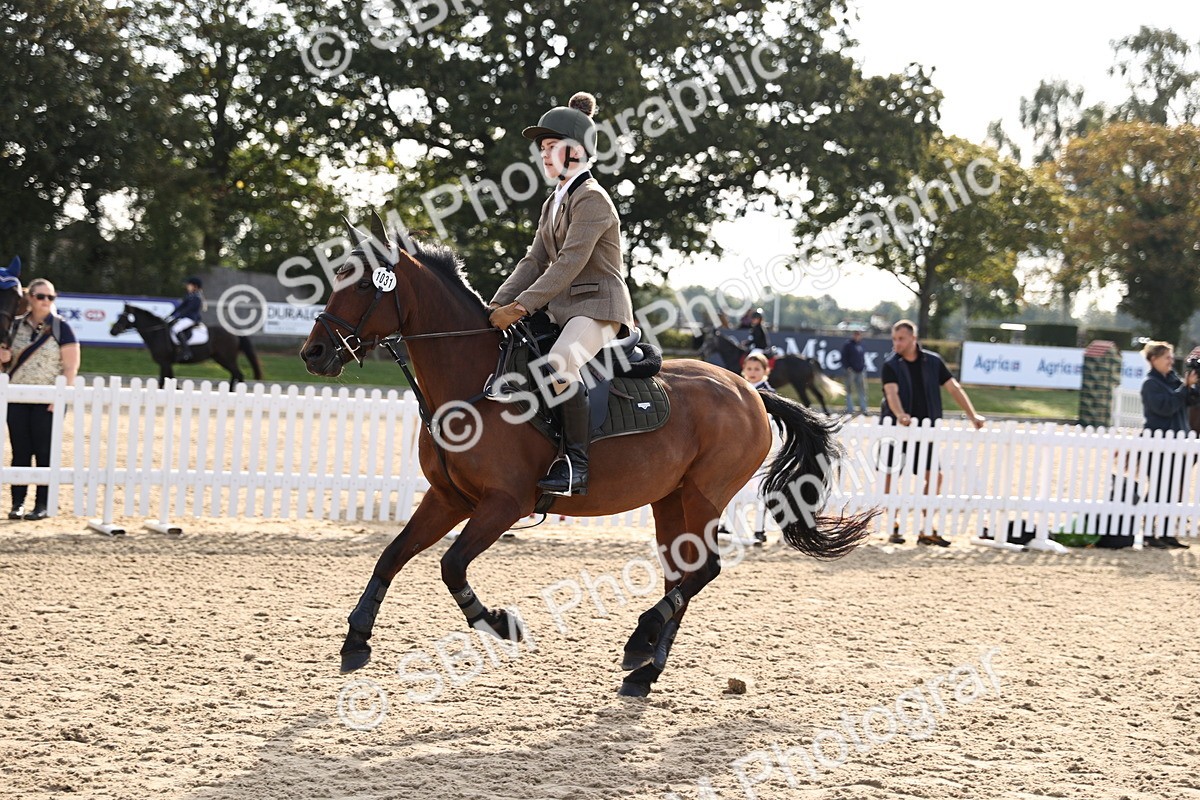 SBM_59803 - J11 - Junior Pony 50cm Championship