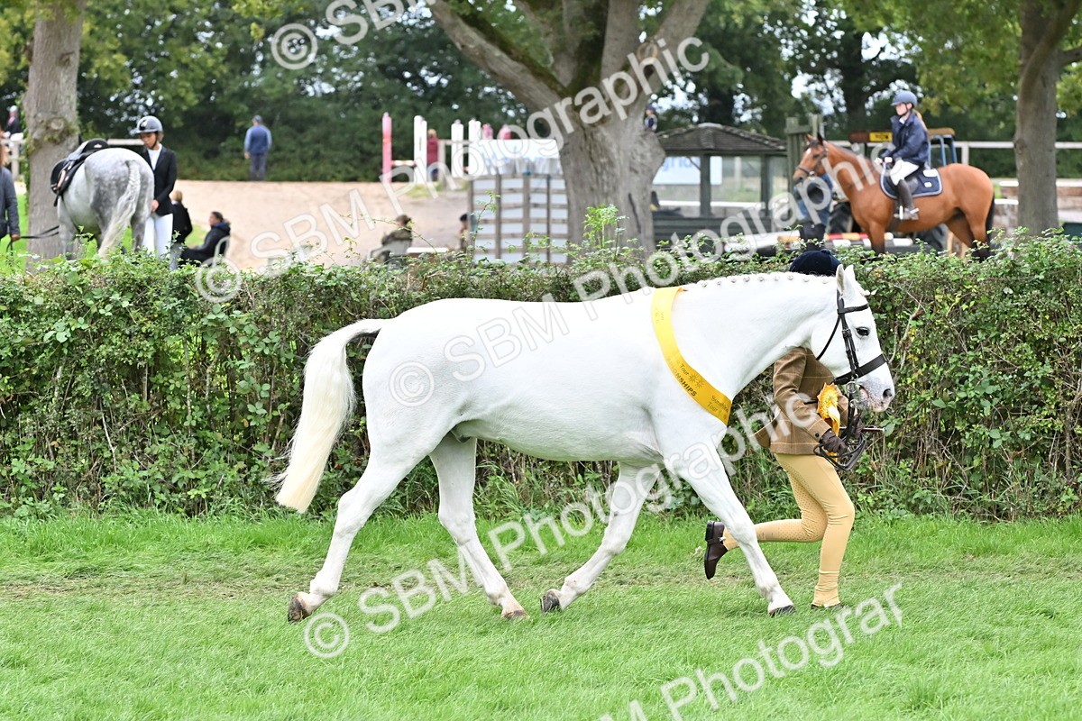 SBM_64987 - In Hand Pony & Younstock Supreme Championship