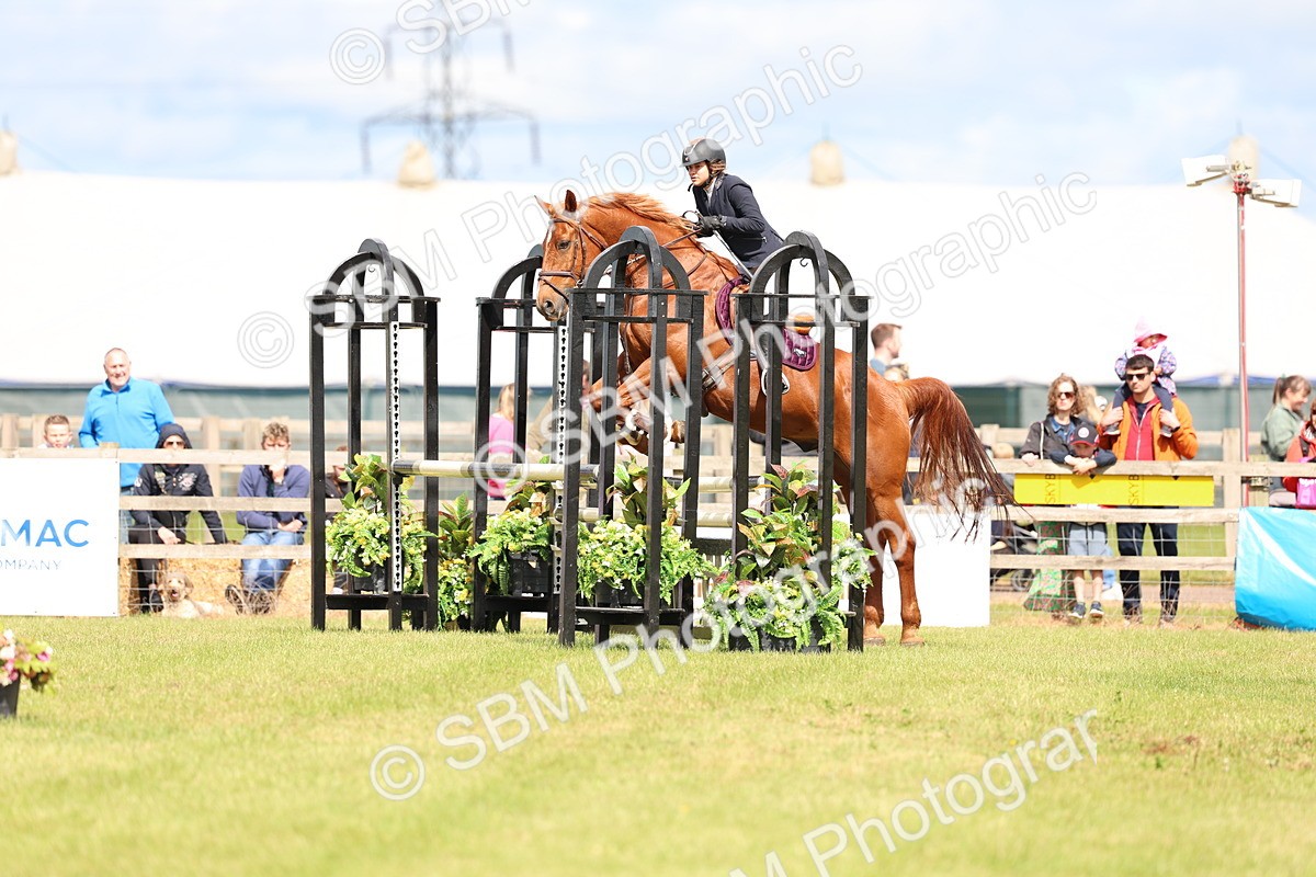 SBM_13402 - Class 206 - Senior Newcomers - 1.10m Open