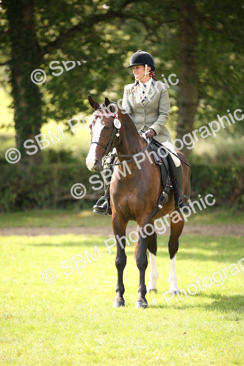 SBM_65972 - S64 - Riding Horse & Hack & Thoroughbred Ridden