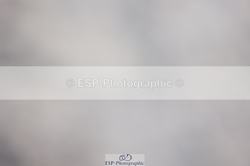 241201X-130913-01460 - Cls 26 Springboard