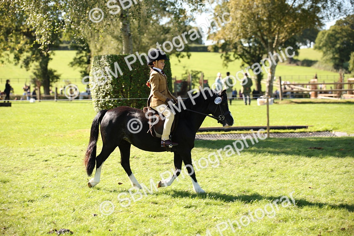 SBM_38963 - S11 - Best Ridden Horse & Pony