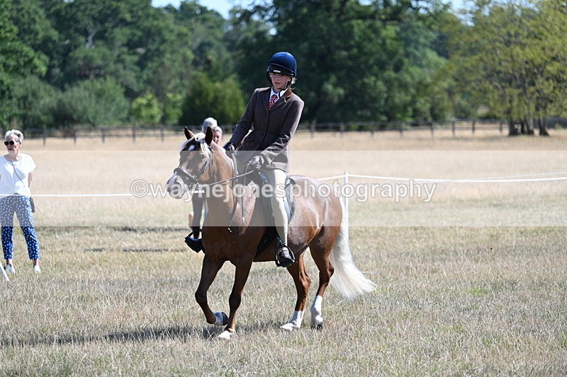 WJ7_4005 - Class 9 Mountain & Moorland Ridden