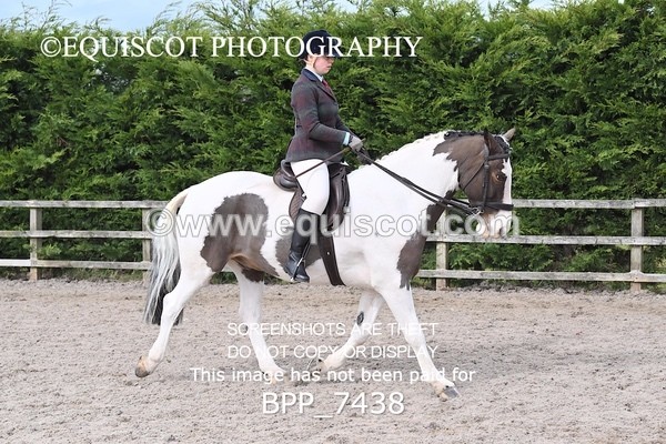 BPP_7438 - RING 1  (RIDDEN HORSES / IN HAND / VETERAN ETC)