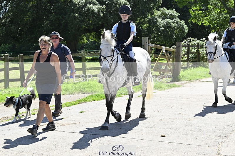 240728B-141213-00456 - Theo and Gemma's Groups Indoor