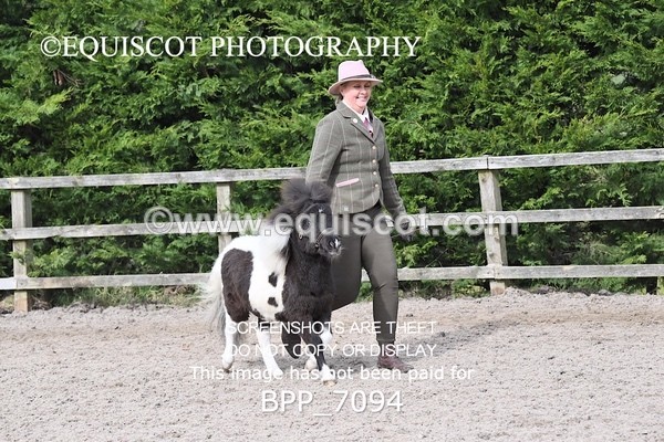 BPP_7094 - RING 1  (RIDDEN HORSES / IN HAND / VETERAN ETC)