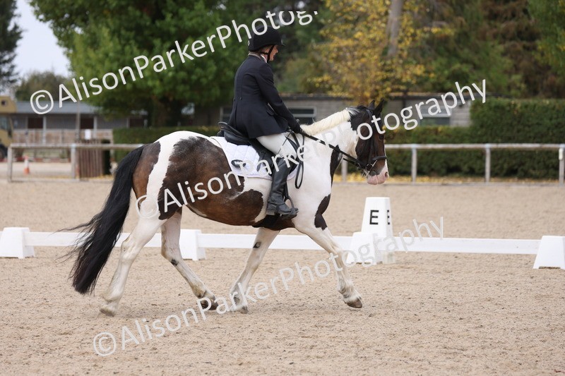 20250819-1344 - Class 4 - Novice 2