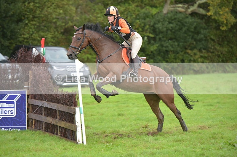 RAY_0513 - Class 4: 80cm: Double of Brushes