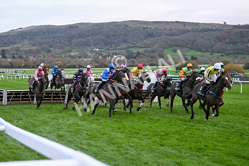 171124-Race 5-Napper Tandy-4215 - Race 5