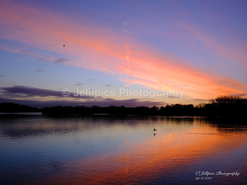  - Landscapes