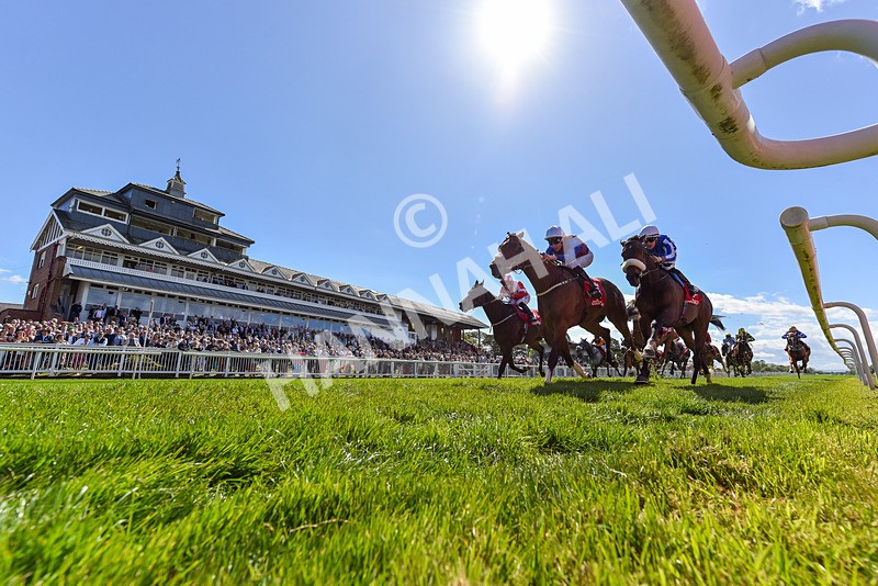 030525-Race 3-Flight Plan-1361 - Race 3