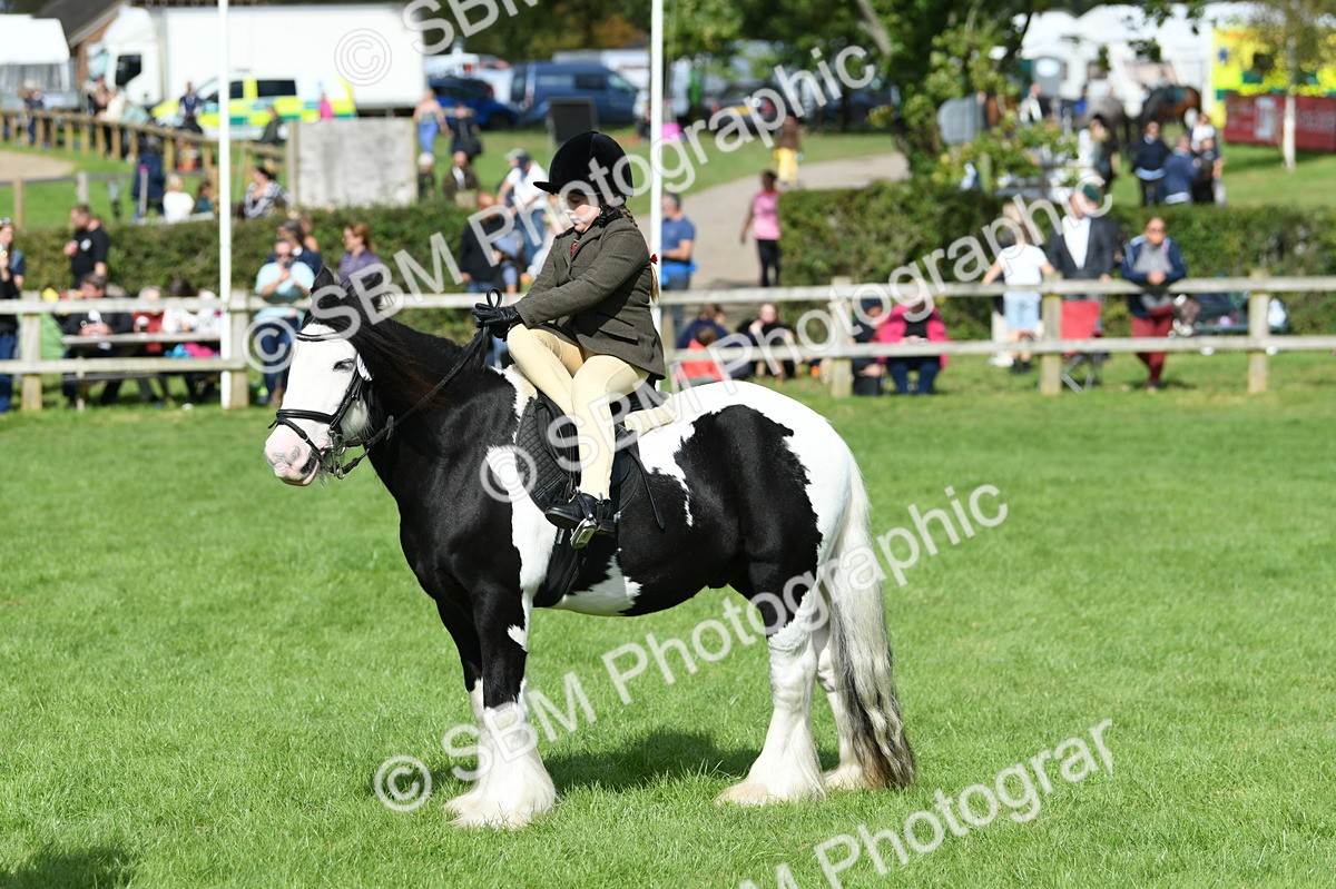 SBM_46983 - S12 - Family Horse & Pony