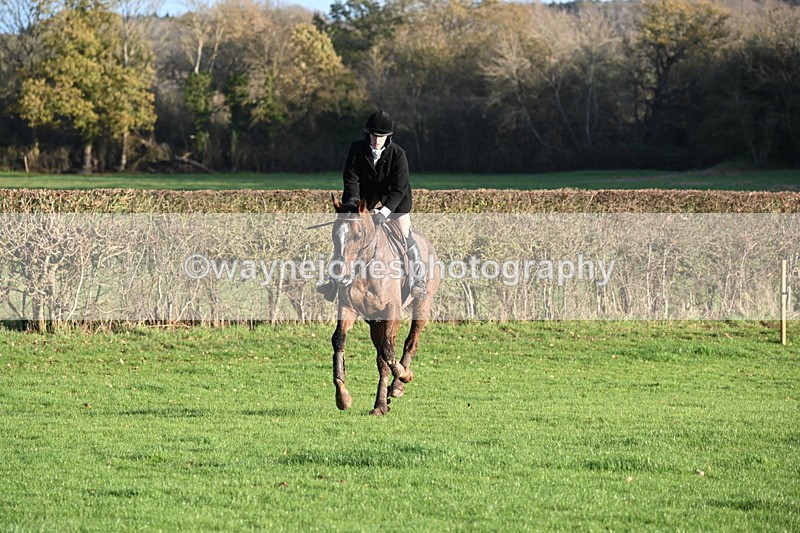 WJ6_3360 - Camera A