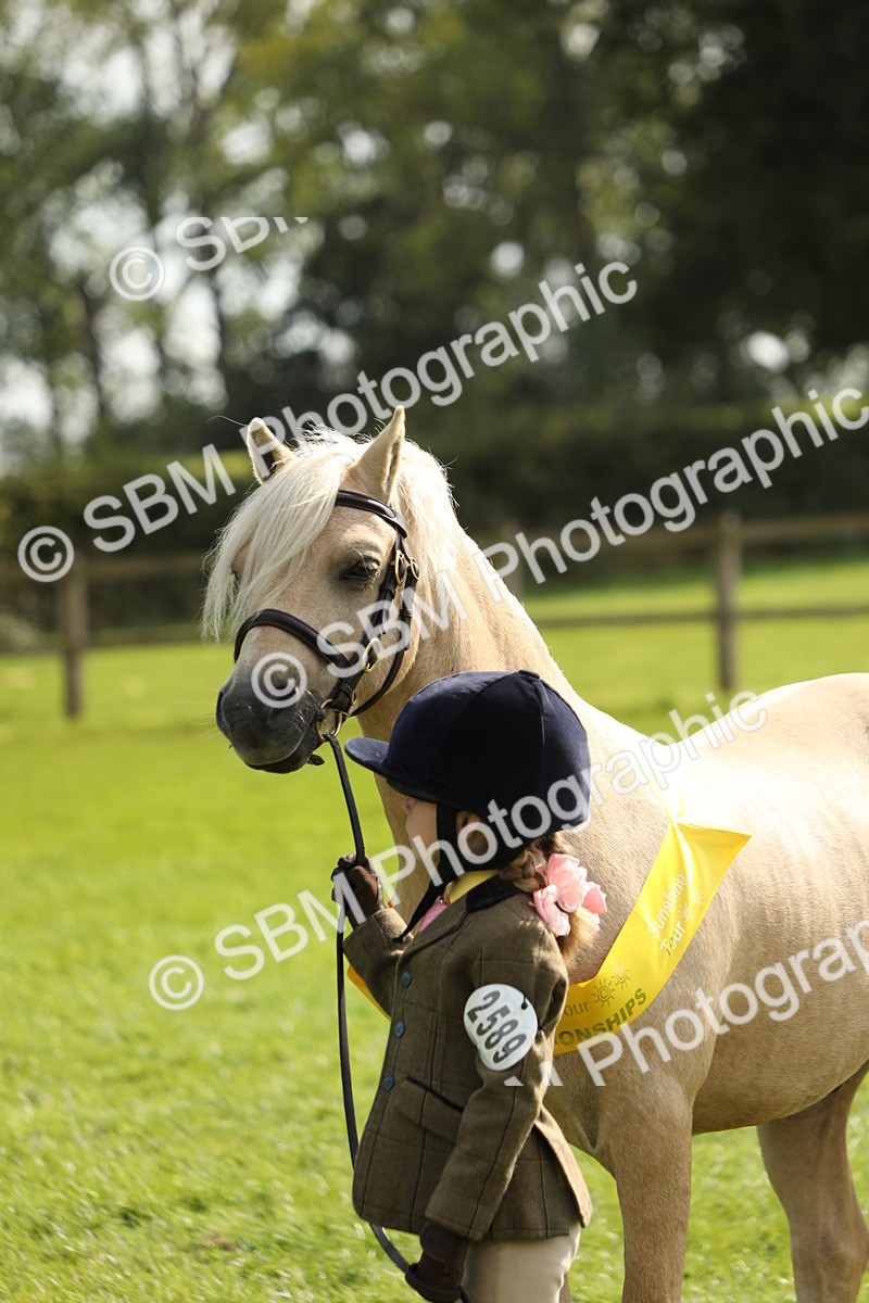 SBM_66339 - In Hand Pony & Youngstock Supreme Championship