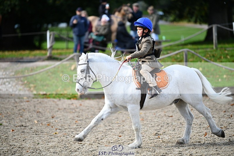 251004A-132829-01282 - Classes 6 & 7 60cm