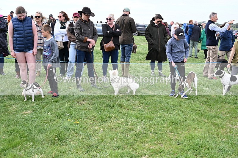 WJ6_8410 - Class 6 Best Rescue