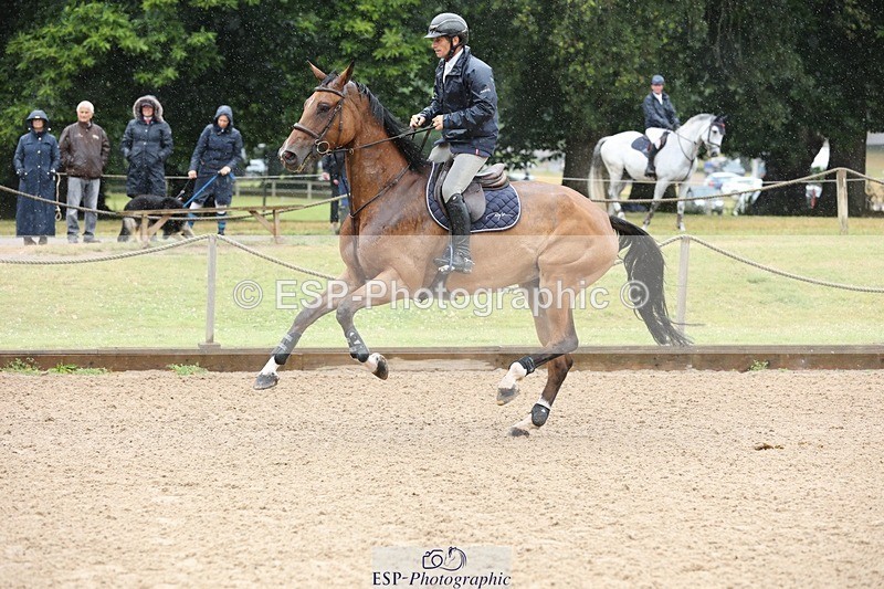 240705-155251-12249 - Cls 24 Foxhunter