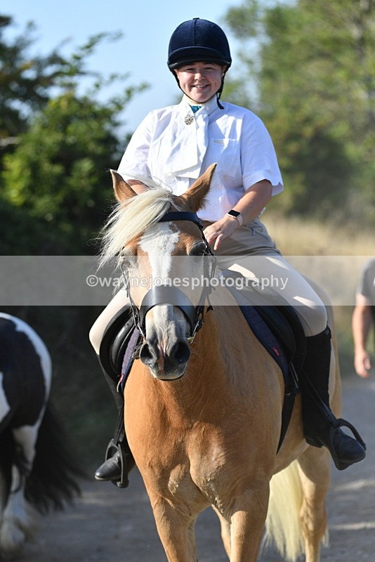 WJ5_5065 - Walk out with the hounds