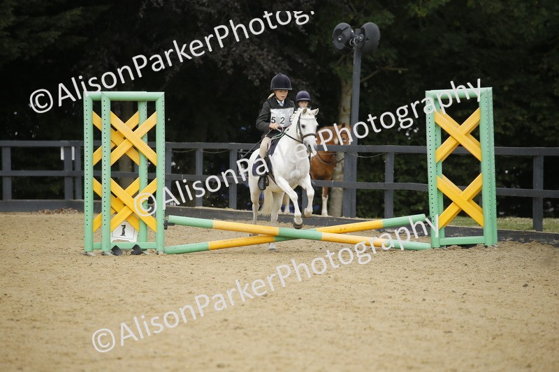 20250622-1475 - 40cm