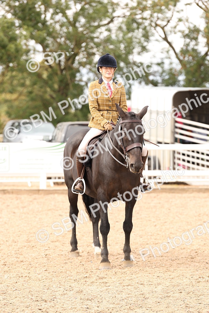 SBM_16521 - Class 212 - Ridden Hunter - Small