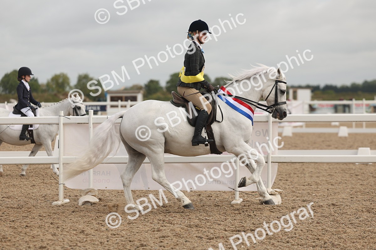 SBM_02033 - Class 14 - Ridden M&M Wildcard