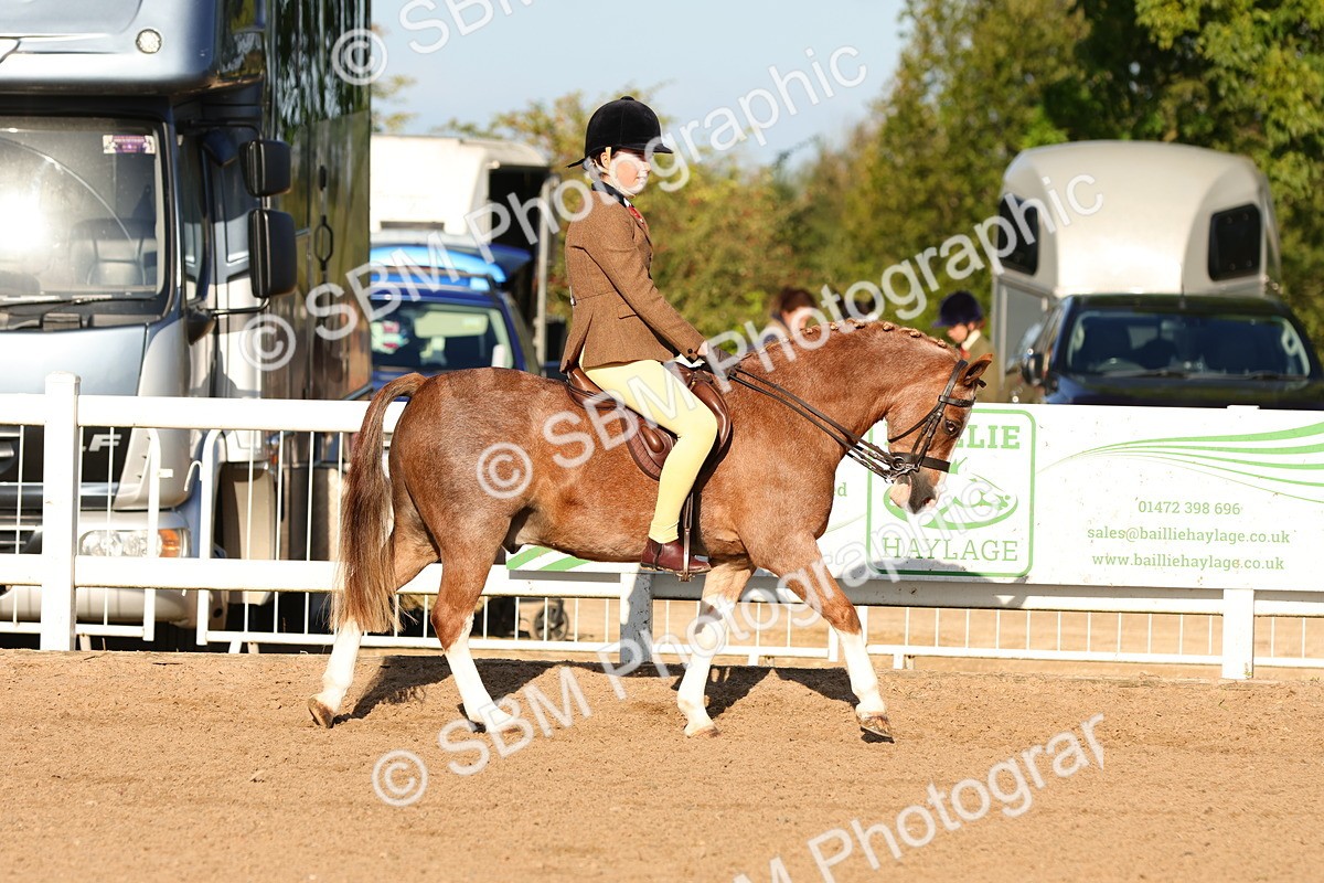 SBM_08140 - Class 202 - Best Turned Out -  Ridden