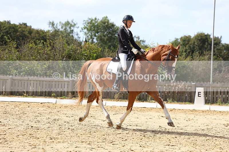 3E7A4788 - Class 11: Elementary Music