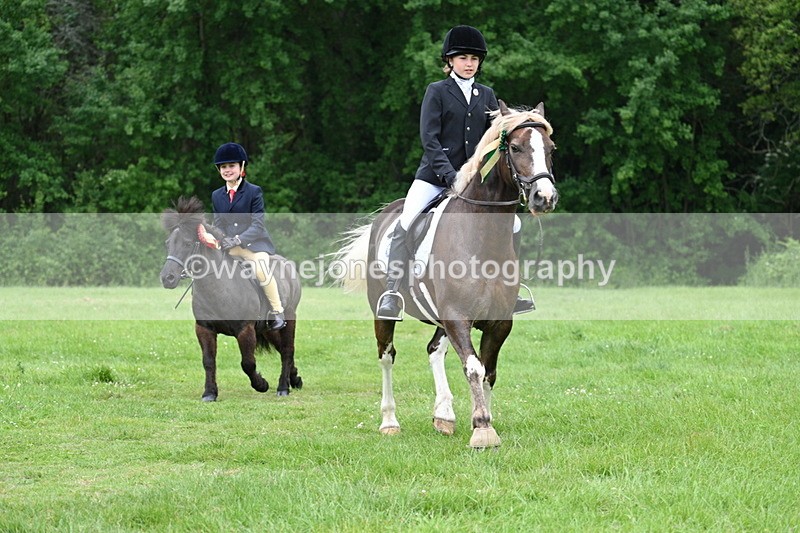 WJ7_4343 - Class 14A Handsome Gelding
