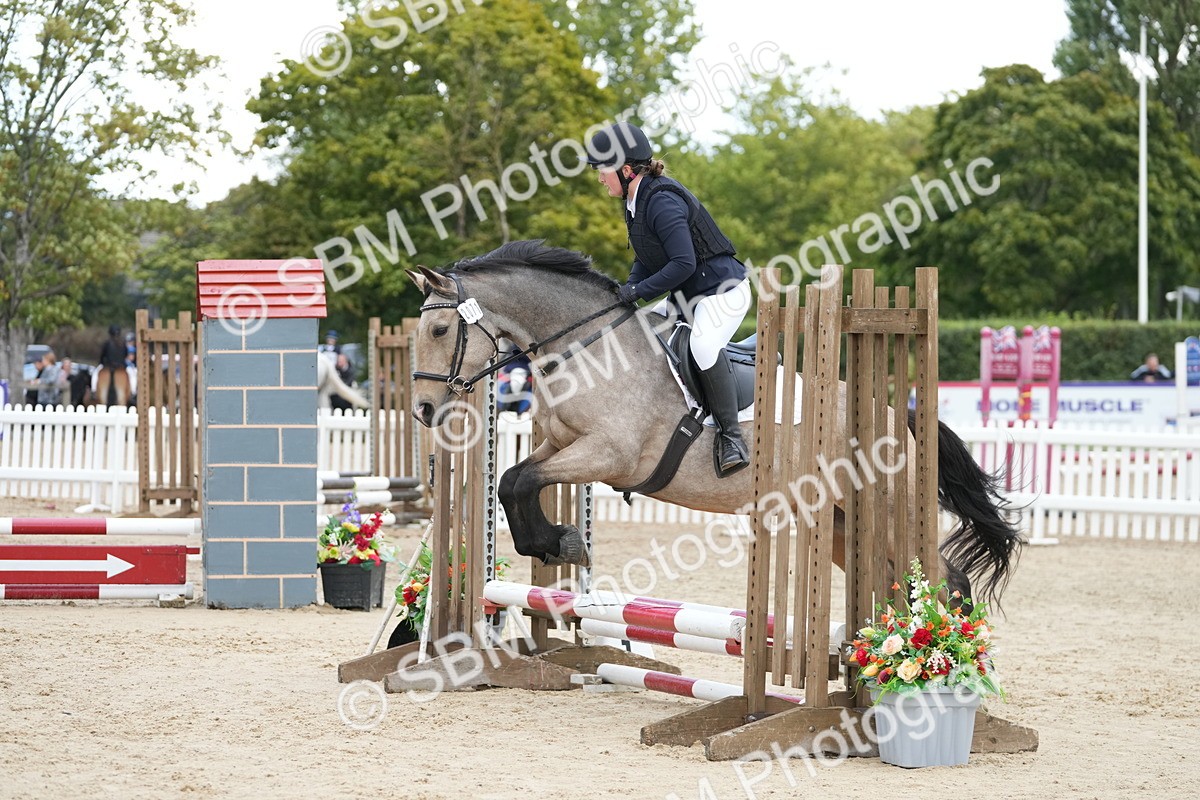 SBM_20700 - J49 - Open 50cm