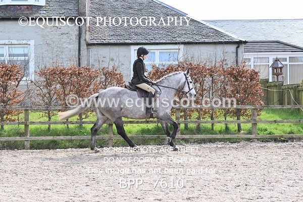 BPP_7610 - RING 1  (RIDDEN HORSES / IN HAND / VETERAN ETC)