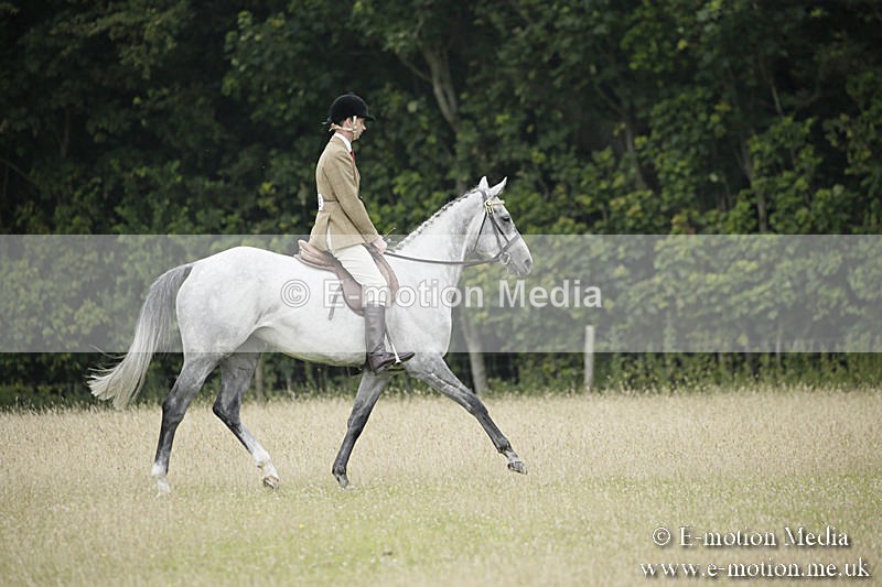 B230619-0686 - Bourne Valley Riding Club Summer Show 23/06/19