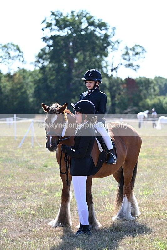 WJ7_3218 - Class 8 Ridden Tack & Turnout