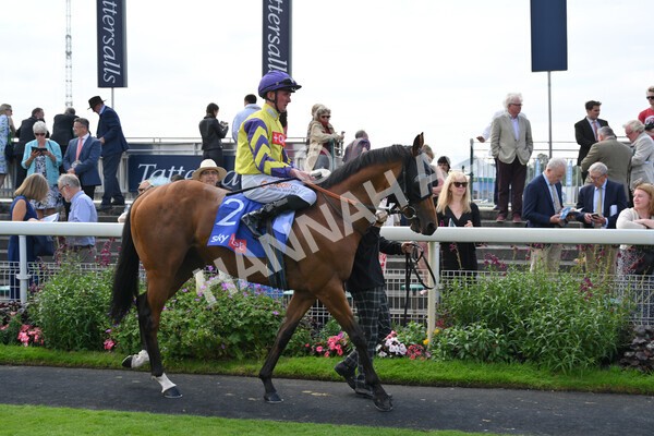 yr18082021r1-44 - Race 1 1.50pm Sky Bet & Symphony Group Stakes