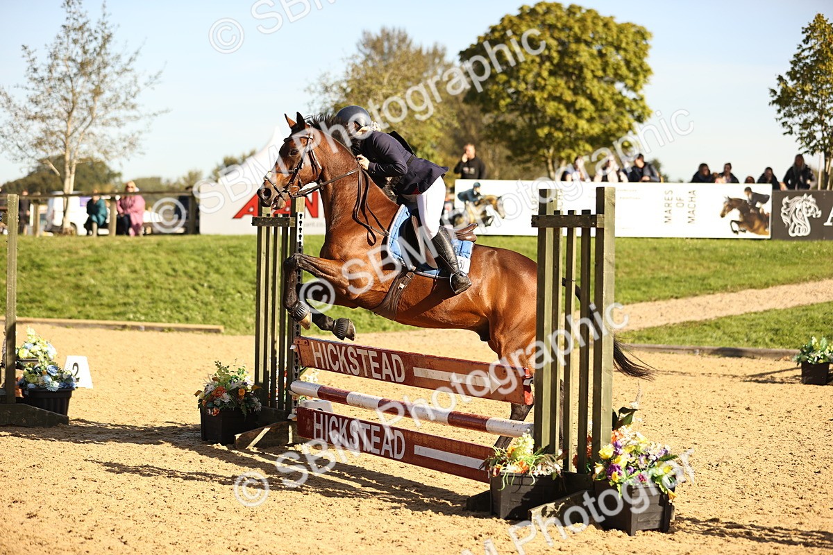 SBM_35186 - J38 - Senior 80cm Championship